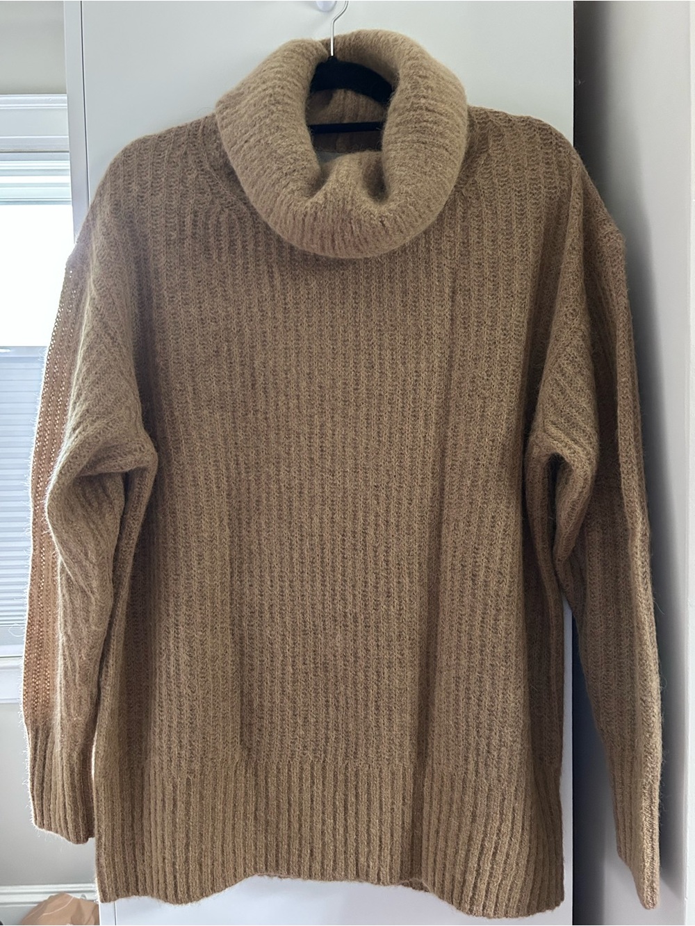 Everlane Alpaca turtleneck sweater